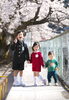 桜ロケ撮影♪　「ご入園・ご入学おめでとうございます！！」