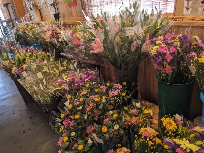 お彼岸にむけてお花の準備はお早めに「春のお彼岸セール開催です」