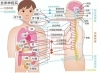 自律神経の不調は背骨に表れます「春先の自律神経の乱れには背骨矯正がおススメです」
