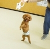 「今日のお友達」