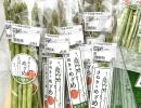 新鮮な「さぬきのめざめ」(アスパラガス)が香川県三豊市の豊田農園さんからたくさん届きました。