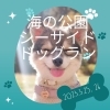 「「海の公園シーサイドドッグラン2023春」開催のお知らせ【3月25日（土）26日（日）】【金沢区・イベント】」