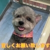 ご予約についてのお願いです。