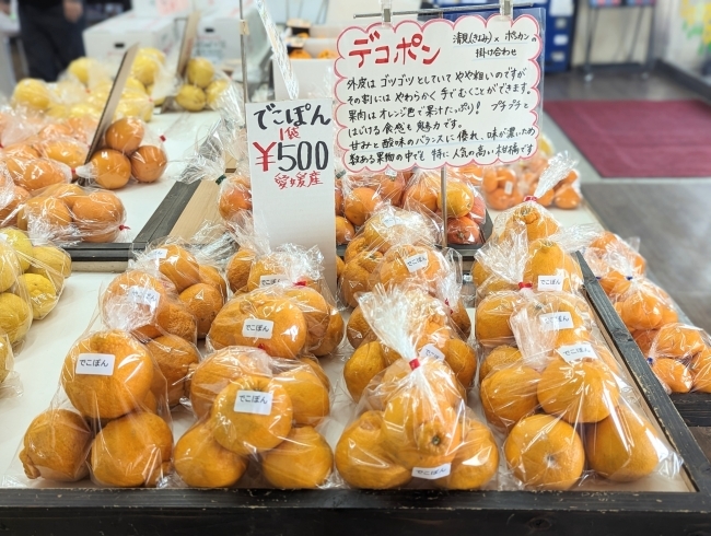 「【西条市 小松町明穂】りんりんパークーさんでは柑橘類も販売されています！」