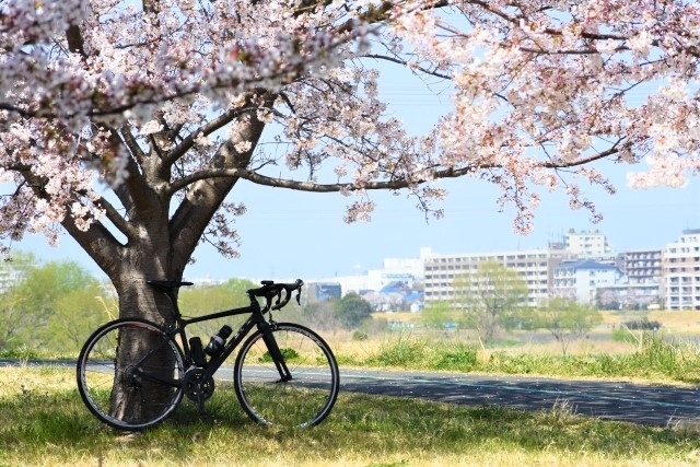 「もうすぐ桜が咲く時期♪ 新しい趣味または運動でサイクリング始めませんか？」