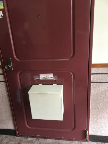 玄関ドアに磁石で取付♪「玄関ドアに取り付けできる宅配ボックスのご紹介♪」