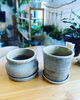 「植木鉢入荷しました」