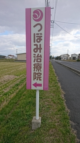 道路の北側にあるピンクの看板が目印です！「期末試験に供えて片頭痛対策いかが？」