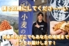 「【西条市 大町】小麦の奴隷 西条店さんがクラウドファンディングに挑戦！」