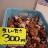 【那須町・なすふぁーむ】ご無沙汰編～