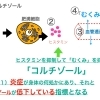 浮腫（むくみ）と妊活の関係