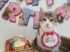 「お誕生日おめでとう」