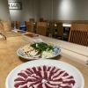 河内鴨
