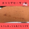 冬物セーターは虫の餌食になる前に染み抜き洗濯を!