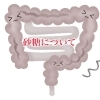 【腸セラピー】白砂糖をやめて腸活！腸を綺麗にする。〜横浜市港北区・菊名〜