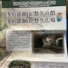 兵庫県猪名川町のビックリ！こんなところに多田銀銅山遺跡