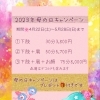 母の日のプレゼントにLier.の癒しはいかがですか？