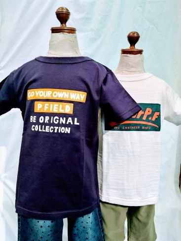 90cmと130~150cm大阪発P.FIELD「子供服アリスより日本製Tシャツのお知らせ」