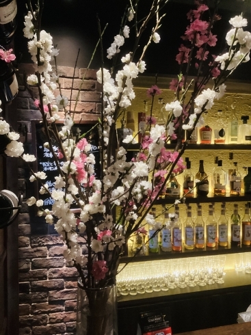 桃の花　満開「春爛漫。　千葉駅徒歩５分　裏千葉のレストラン&バー　ブリックです。」