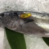 魚魚市場鮮魚コーナーおすすめは「のどぐろ・ミミイカ」です