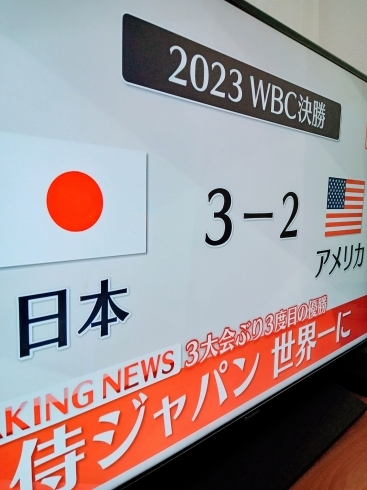 「《WBC日本優勝・感動をありがとう》」