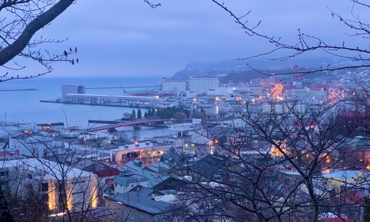 今朝の小樽「Good morning Otaru! ◎ 小樽の古民家ゲストハウスより」