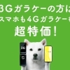 3G買い替えキャンペーン‼️