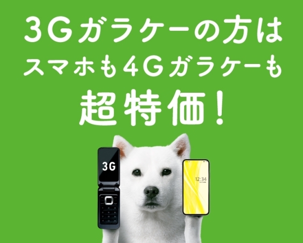 3G買い替え「3G買い替えキャンペーン‼️」