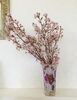 「桜、頂きました♪」
