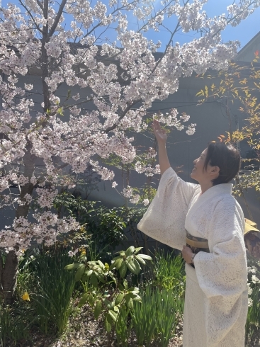 「問屋町レンタル着物　着物でロケ撮影　持ち込み料無料　着物コーディネートします」