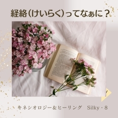  Silky・8 　☆☆☆経絡ってなぁに？☆☆