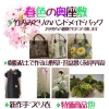 「春色の奥座敷」 特別価格商品などございます♪