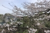 「魚魚市場鮮魚コーナーおすすめは「いわし・のどぐろ」です♪」