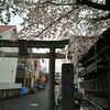 香取神社の桜「♡寒空のソメイヨシノ満開♡　★英会話と体操のコラボ教室（堀切、お花茶屋、綾瀬、亀有、小菅）」