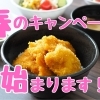 新潟関屋自動車学校のお得なキャンペーン！