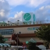 薬膳弁当の販売します！