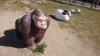 「◇子連れお出かけスポット情報◇ 〜改進公園〜」