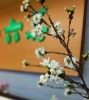 可愛らしい桜、咲きました「桜満開てす」
