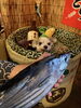 土佐より初鰹「初がつお」