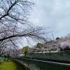 ☆4月のお休み☆ 【本八幡・京成八幡 頭痛・肩こり・自律神経・専門整体院　土日診療　無料駐車場完備】