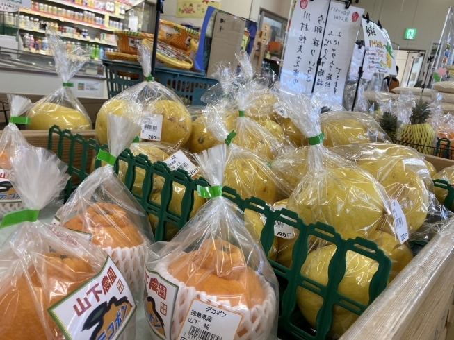「【川島店】柑橘類、たけのこ、春の山菜が大人気！」