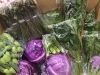 到着野菜の一部。山菜が届くようになりました。「春の山菜を食べて免疫力アップ」
