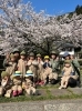 桜が満開でとっても綺麗でした。「バタ電の旅！！」