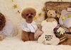 Happy birthday　にこくん「Anniversary photo　」
