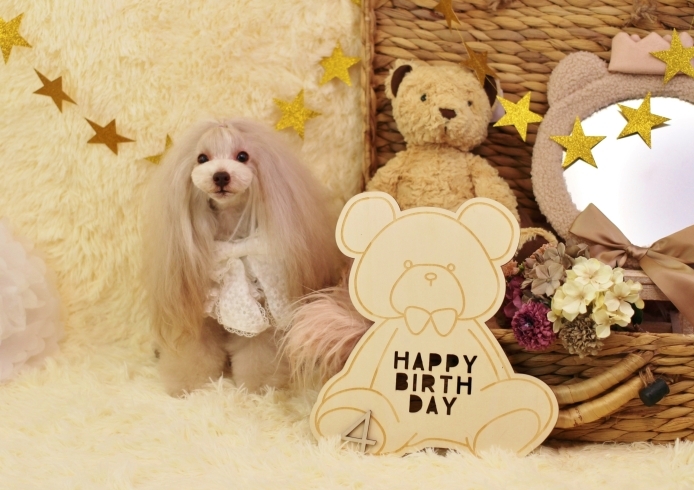 Happy birthday　リズくん「Anniversary photo　」