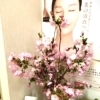 待合室の桜