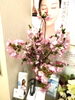 待合室の桜「待合室の桜」