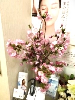 待合室の桜「待合室の桜」