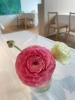 卓上花「4月店休日のお知らせ」