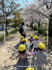 桜が満開で綺麗でした♡「今日もぽかぽかいい天気♡【交野市・小規模保育園】」